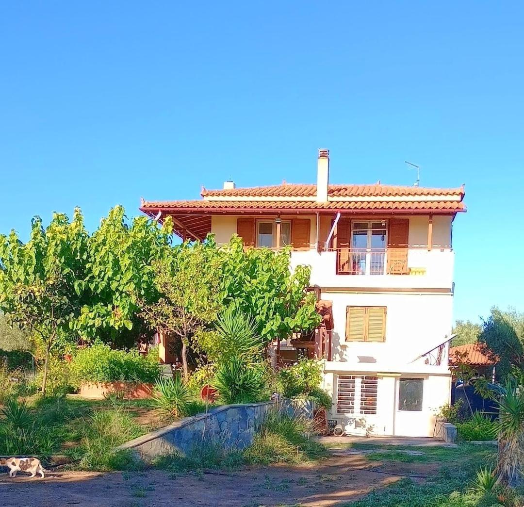 Holiday home Kounis *